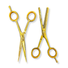 Aashta - Kit de Tijeras Profesionales Doradas Titanio 6 pulgadas