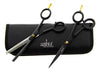 Aashta - Tijeras Profesionales acero inoxidable 5´5 pulgadas