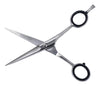 Tijera PS-162 Peluquero / Estilista / Barbero (acero Inoxidable) Plateado